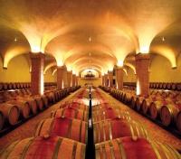 Barriccaia Cellar